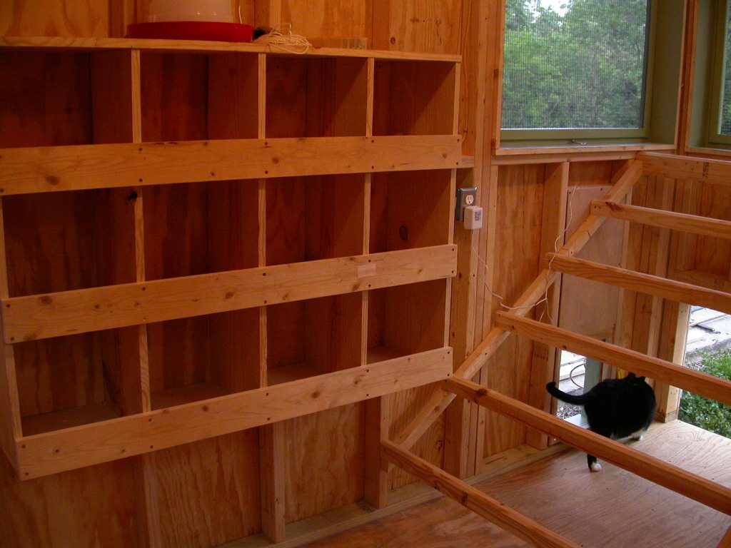 Nest boxes and stadium roosts in the big coop. My cat, Dylan, is checking out the new construction. He is standing by one of two chicken doors (going into two different runs) and the cleanout hatch.