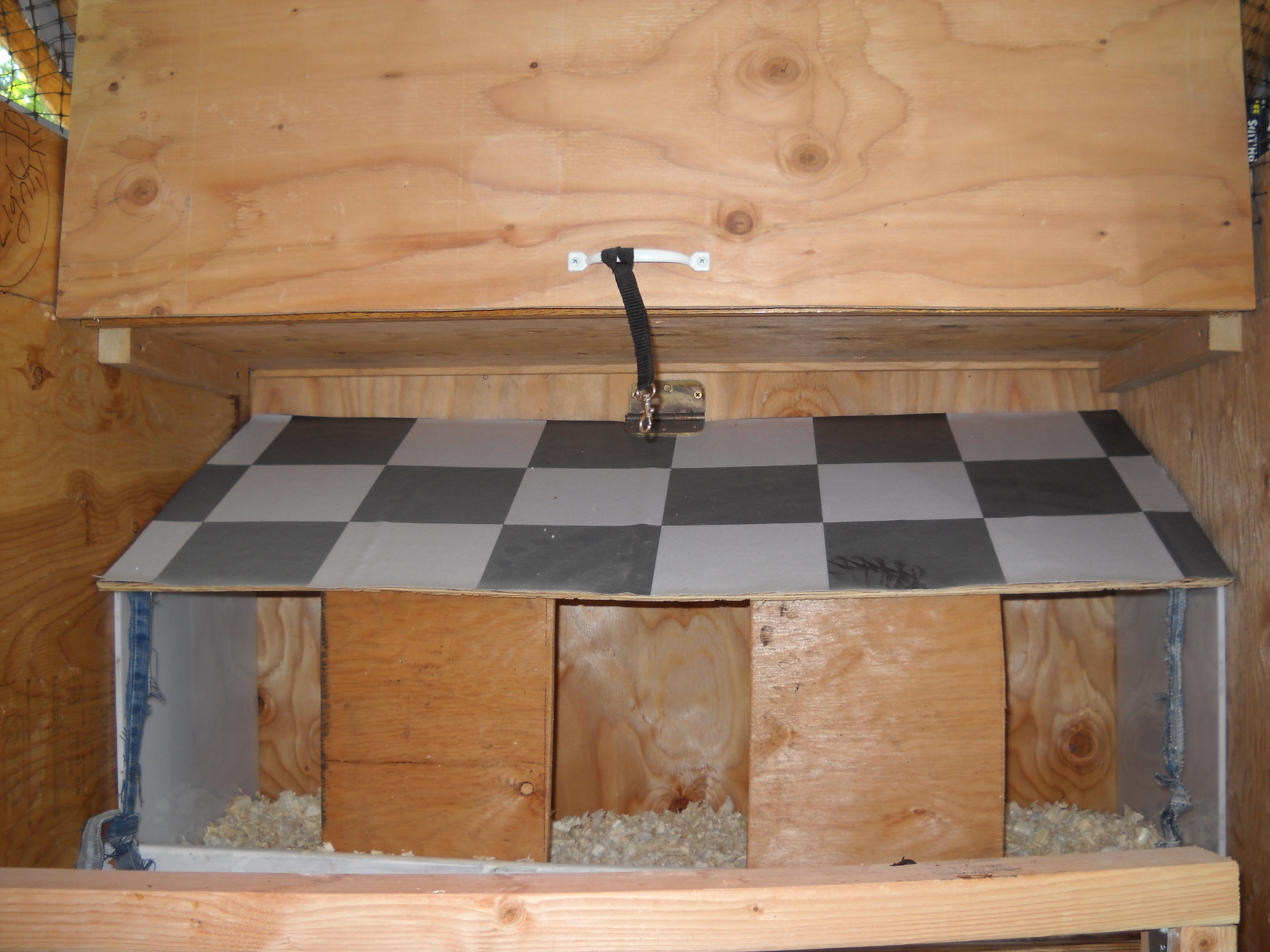 Nest Boxes and Storage Cabinet