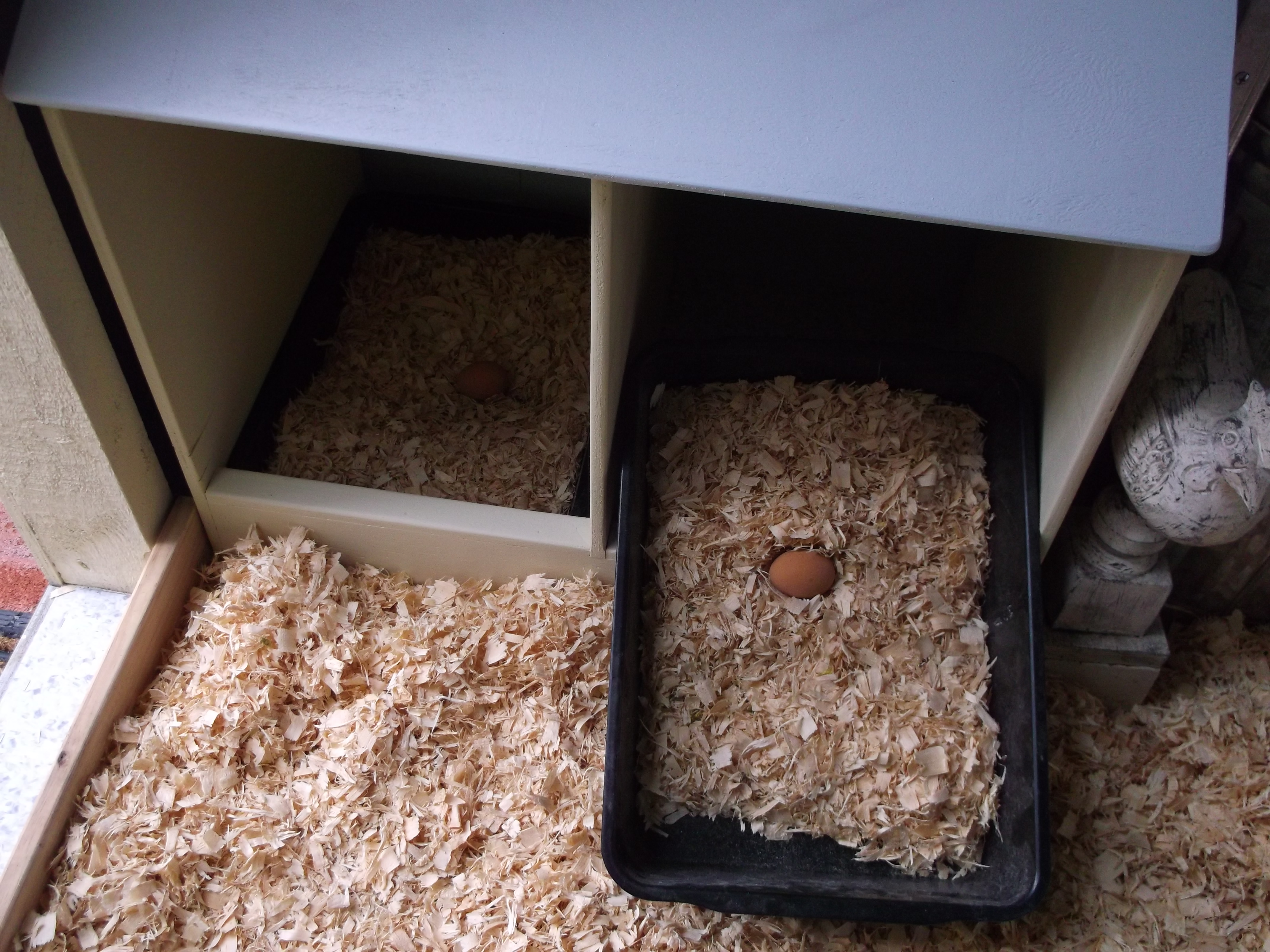 Nest boxes are lined with shallow plastic boxes for easy cleanup.Dh[ bless his cotton socks!]measured how tall the chickens were and made the entrance hole the same height.Will make some curtains to cover up some of entrance.