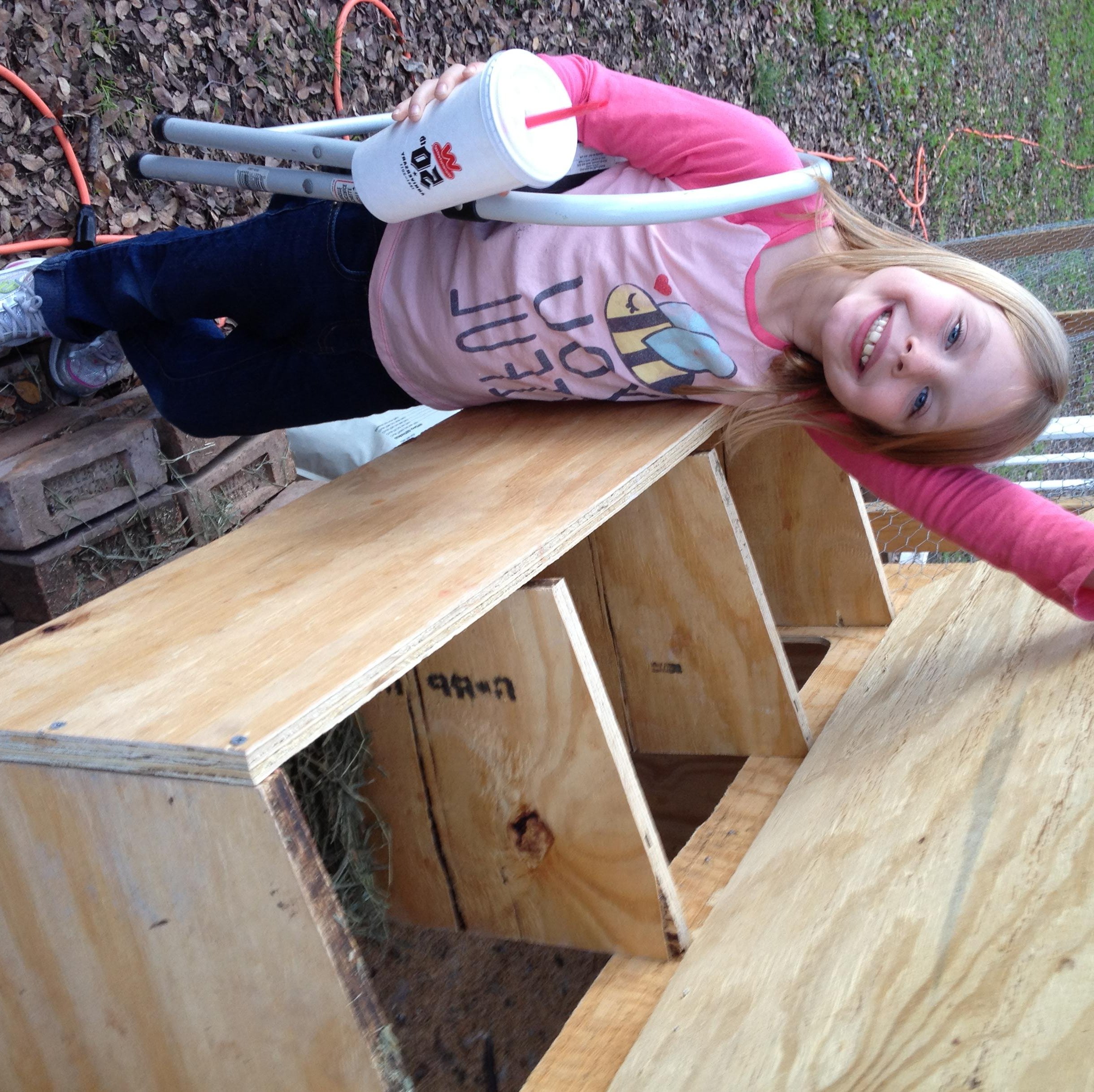 Nest boxes finally complete!