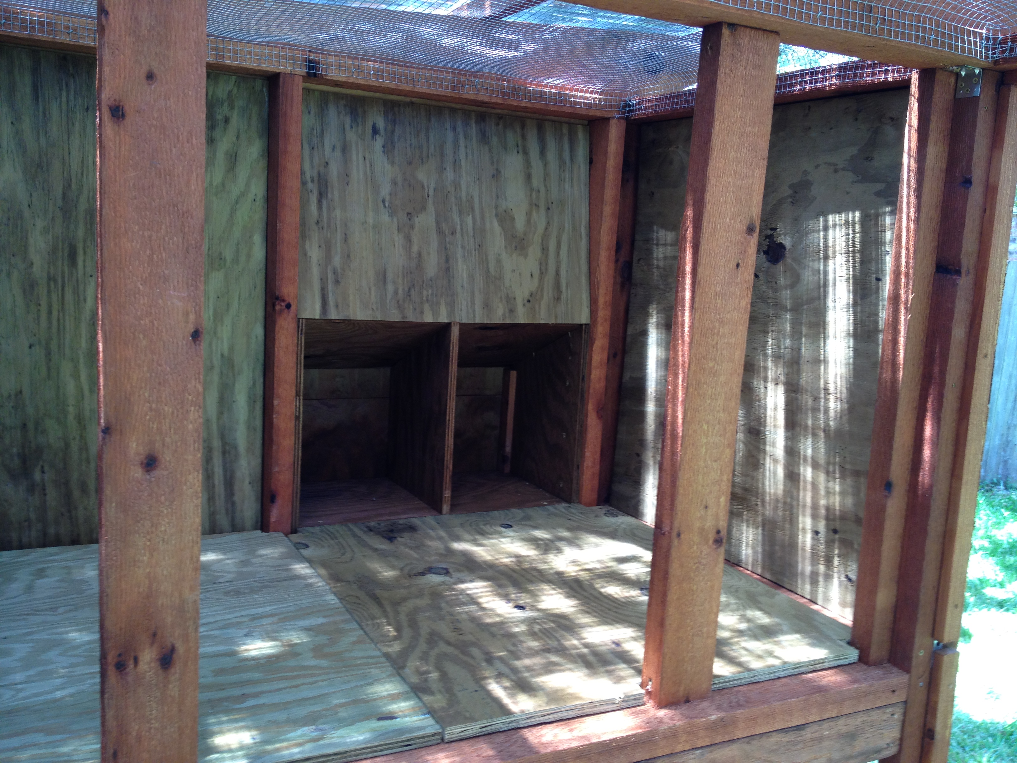 Nest boxes from inside the coop.