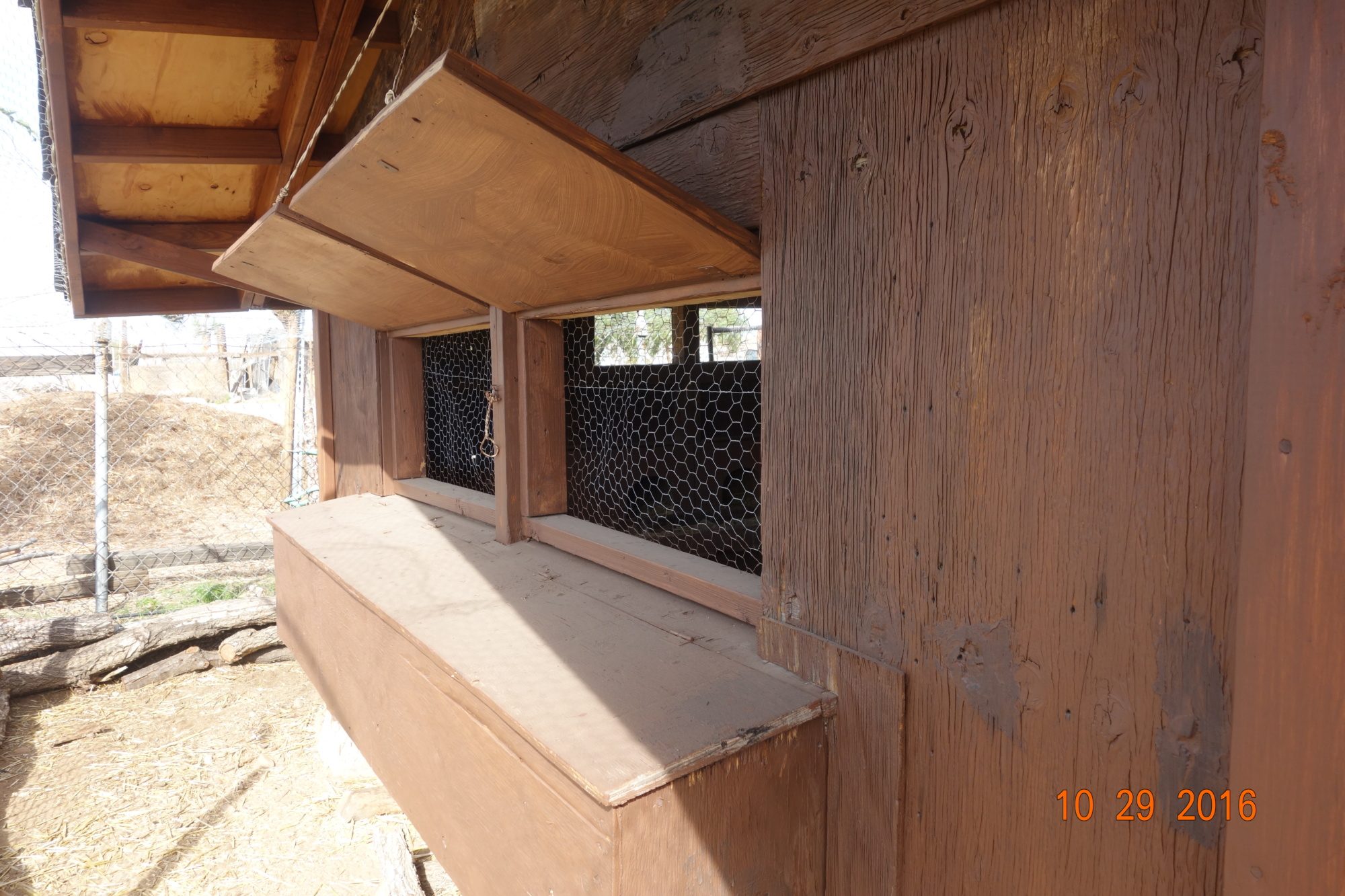 Nest boxes on the left side of the coop.