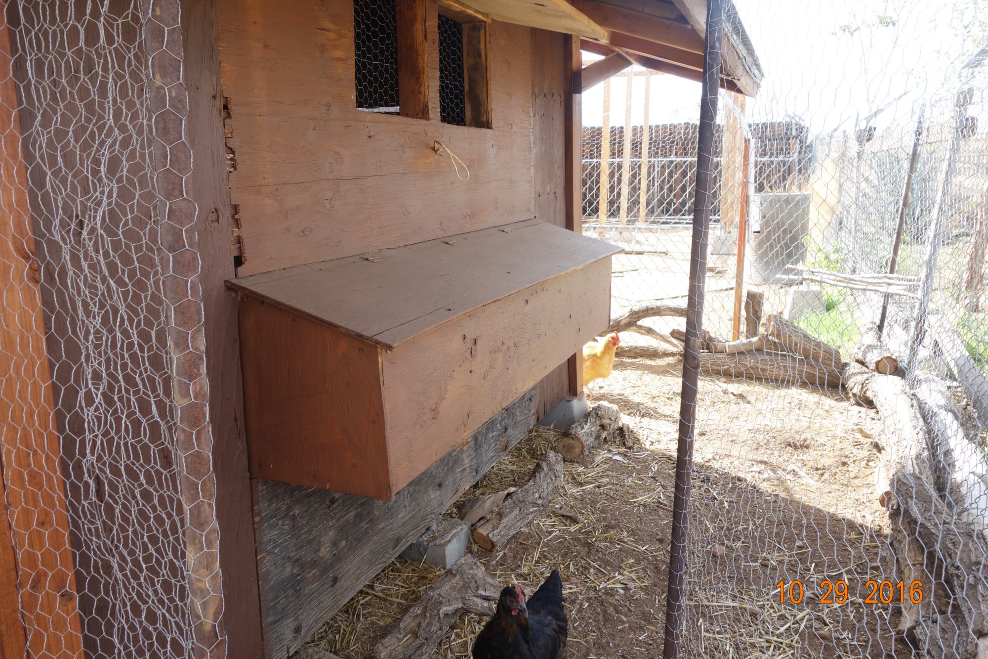 Nest boxes on the right side of the coop.