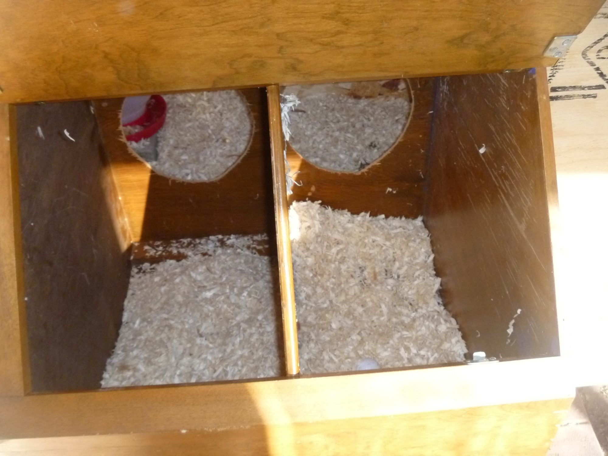nest boxes