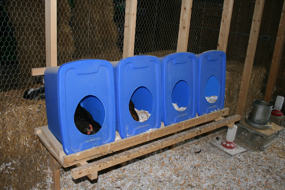 Nest Boxes