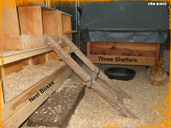 Nest Boxes