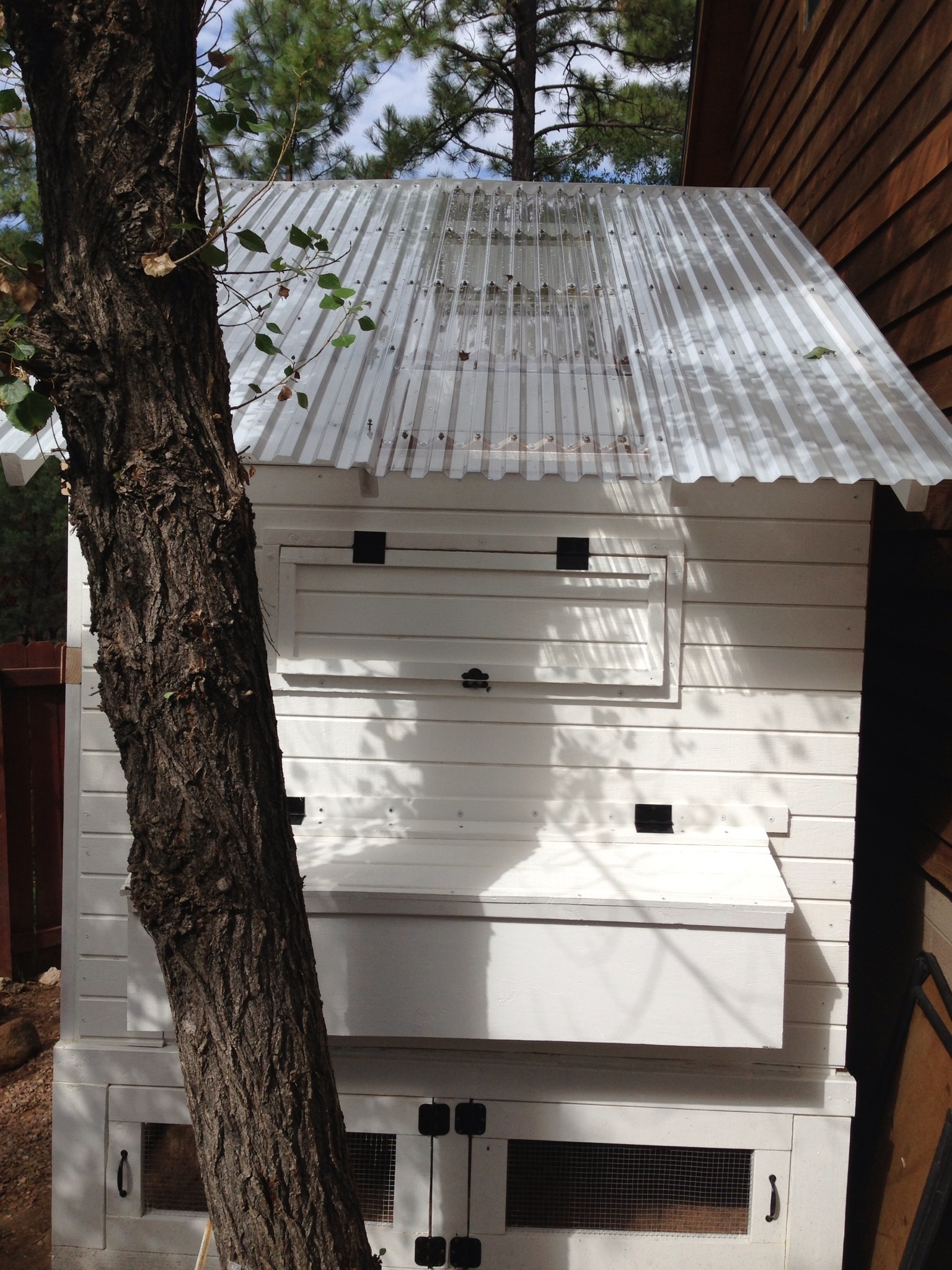 Nestbox side. Note the single clear suntuf roofing we used to let in more light. We chise white suntuf material to go with the white theme.