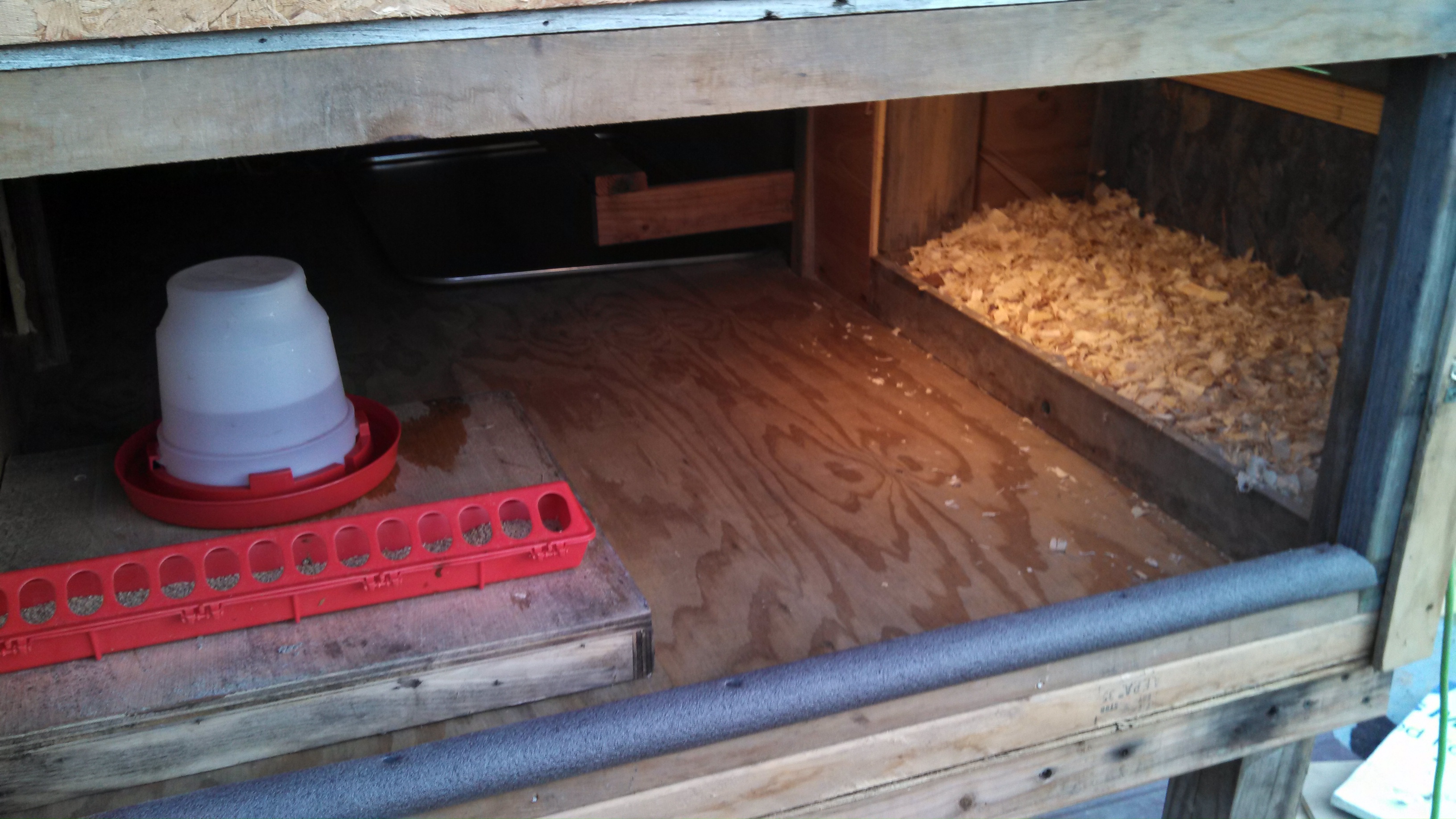 nesting and feeding area