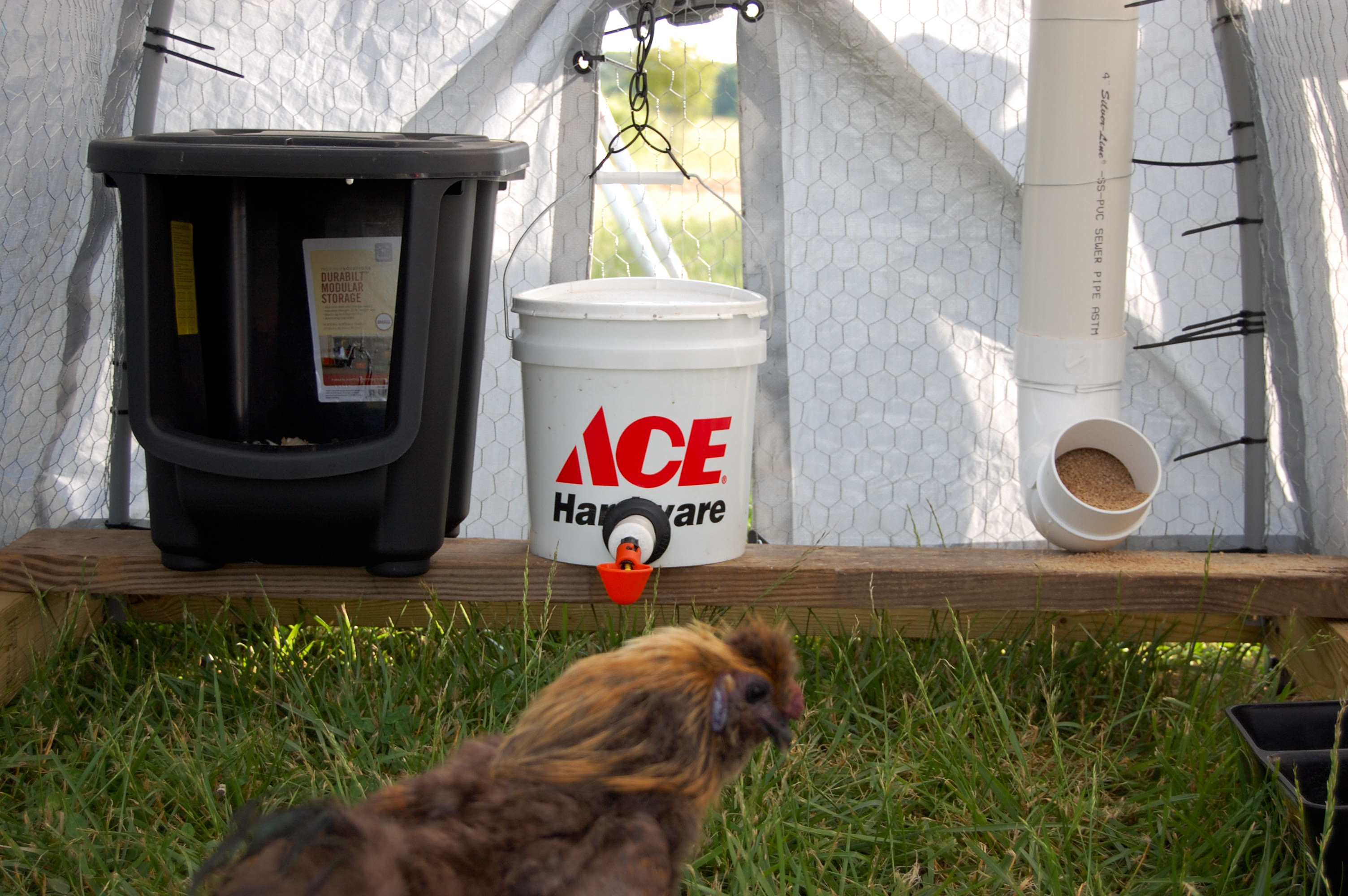 Nesting box, bucket with cup waterer (highly recommend the unseals over just PVC fittings, teflon tape, and aquarium silicone) and PVC feeder. (PVC and I have become closely acquainted now)
