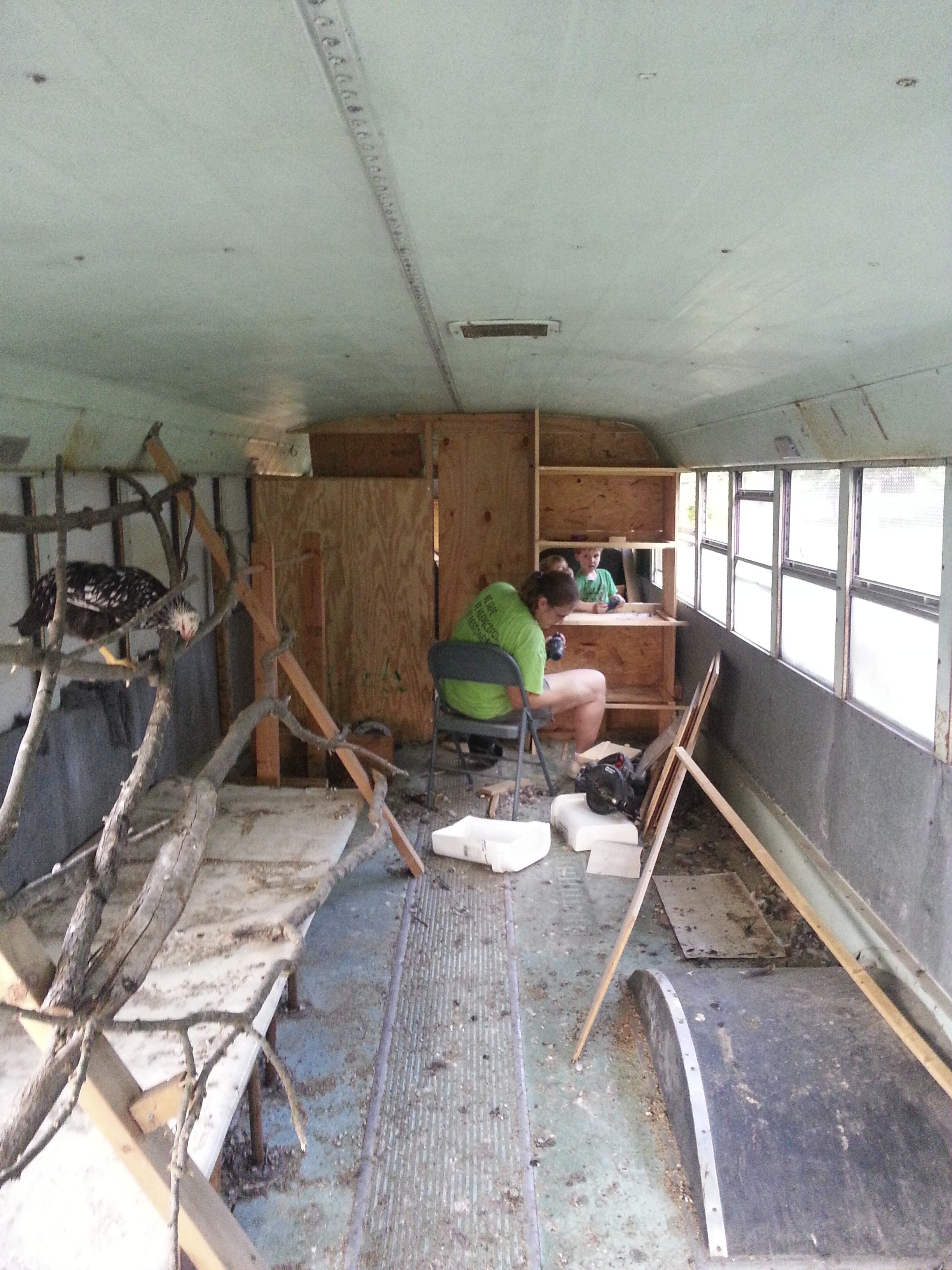 Nesting box construction.