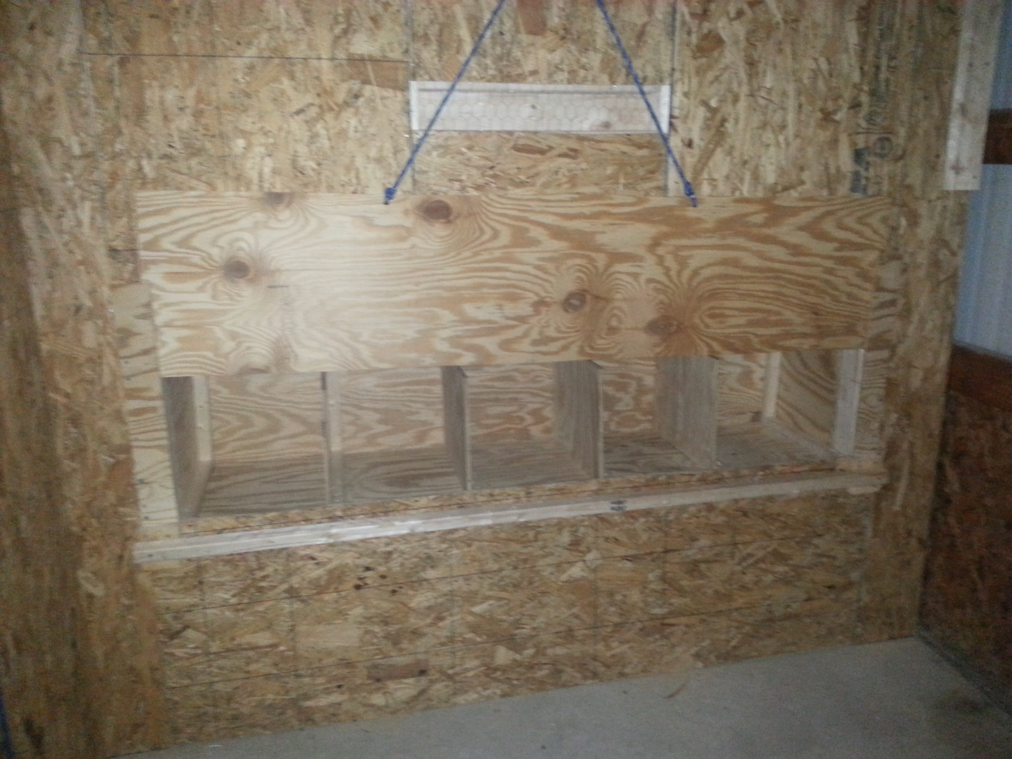 Nesting box door from inside