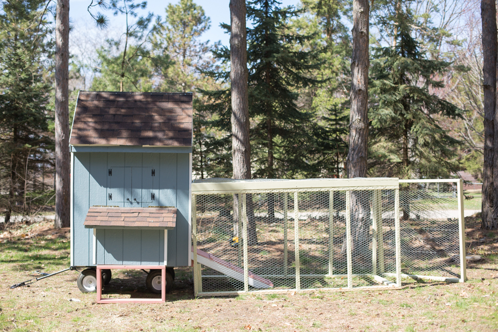 nesting box side-view.
