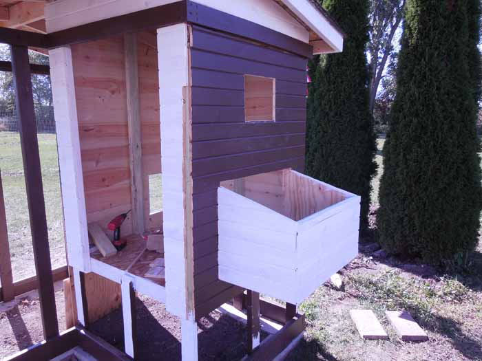 Nesting box started, window and pop door holes cut.