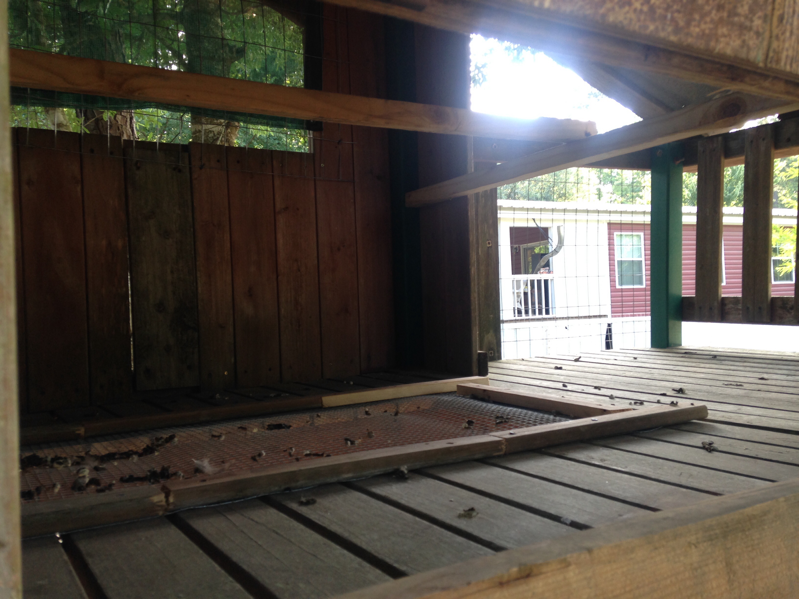 Nesting box will be placed here where we can access the eggs through the hinged door