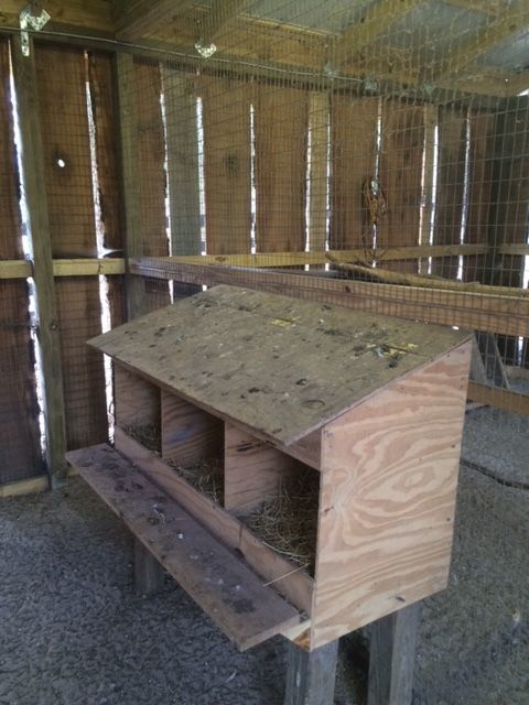 nesting box