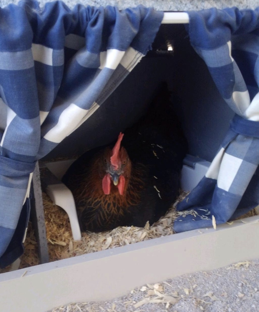 Nesting Box