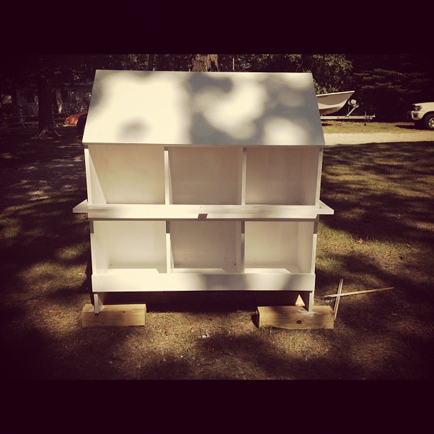 Nesting boxes built by my dad & I
