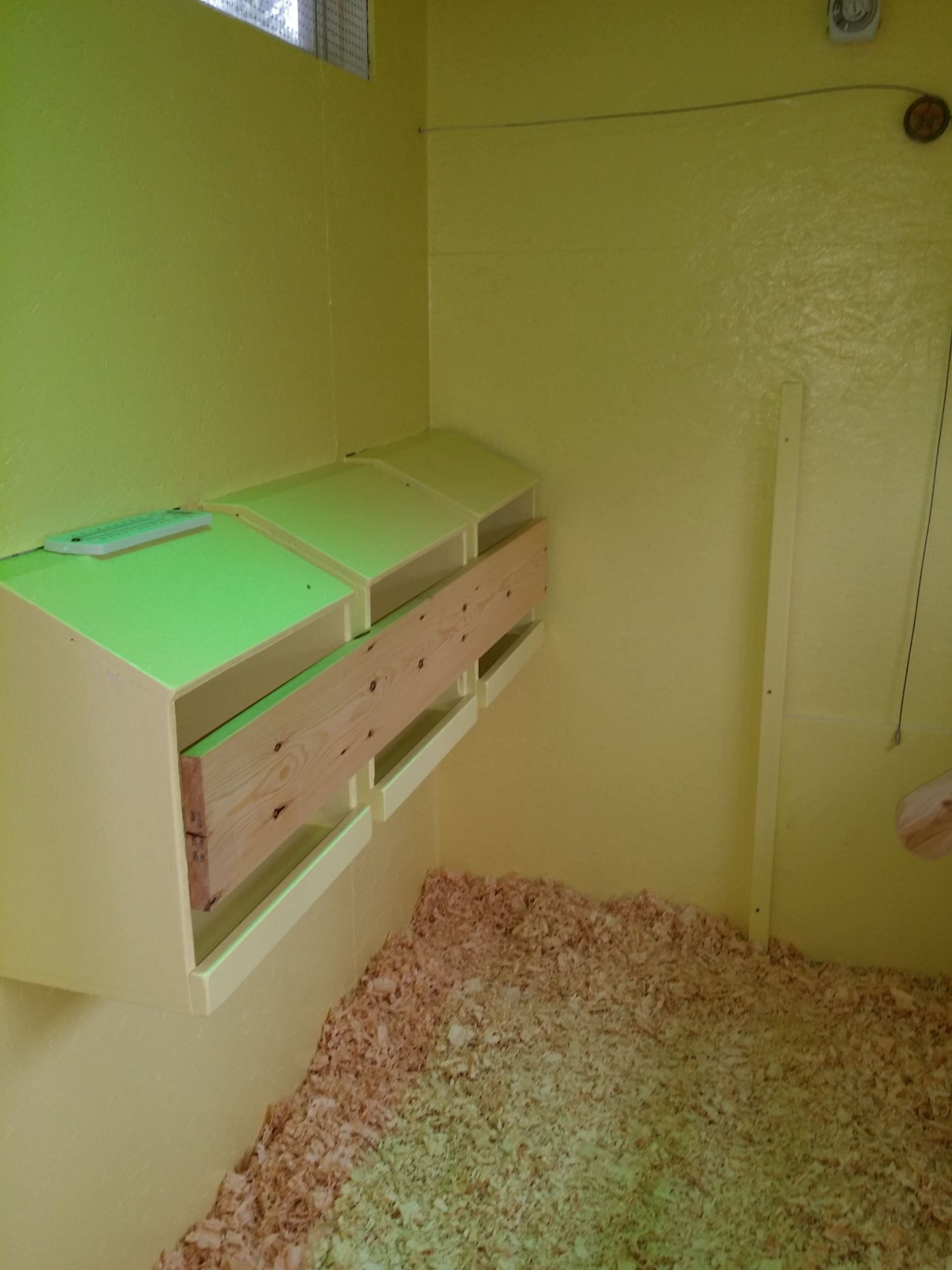 Nesting boxes, closed up until the girls are ready to lay. They are now. I added a roost bar in front of box to help them get in the box. They walk back and forth on this bar deciding which box they will lay and egg in today.