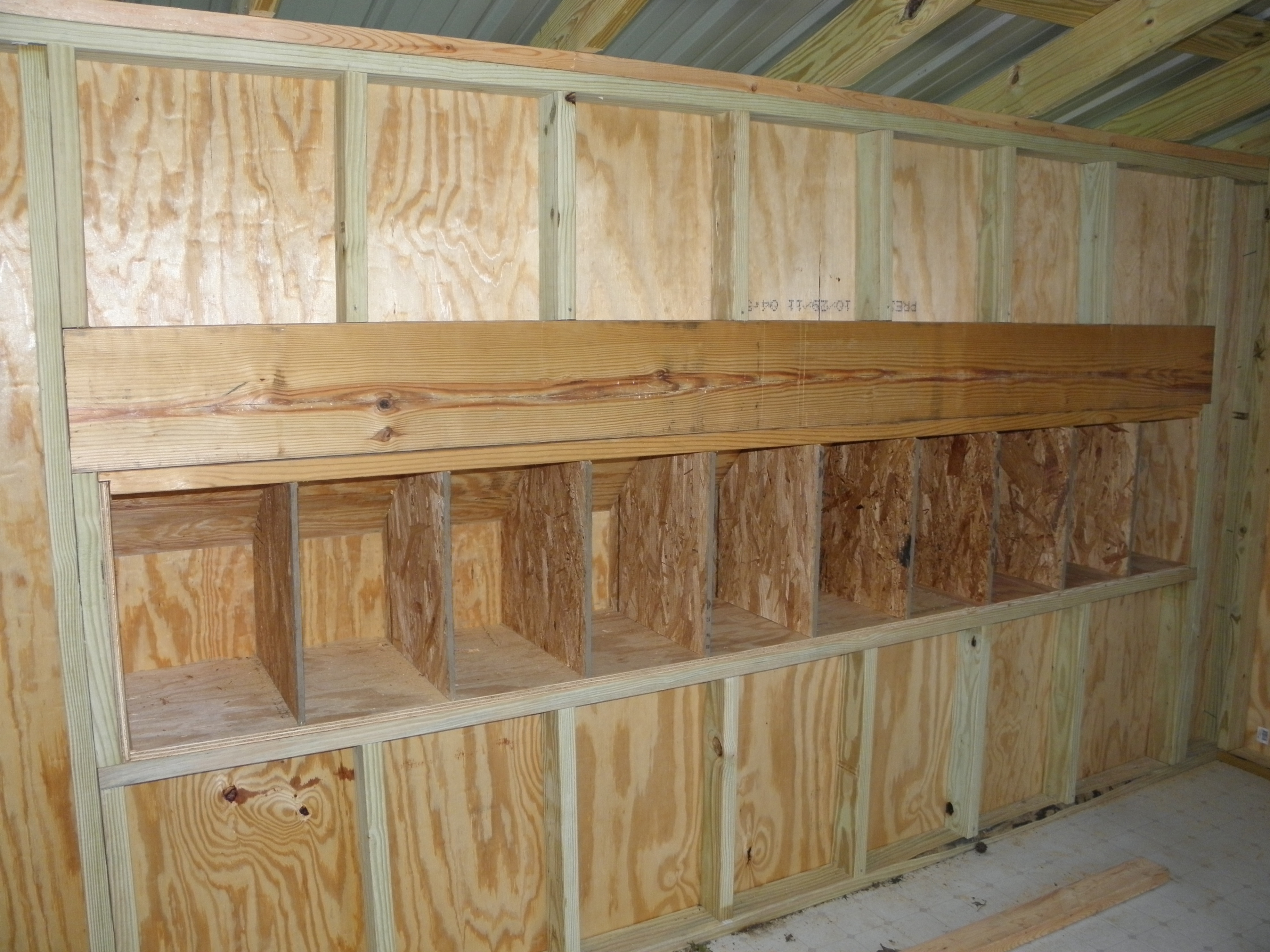 Nesting boxes inside along the back wall.