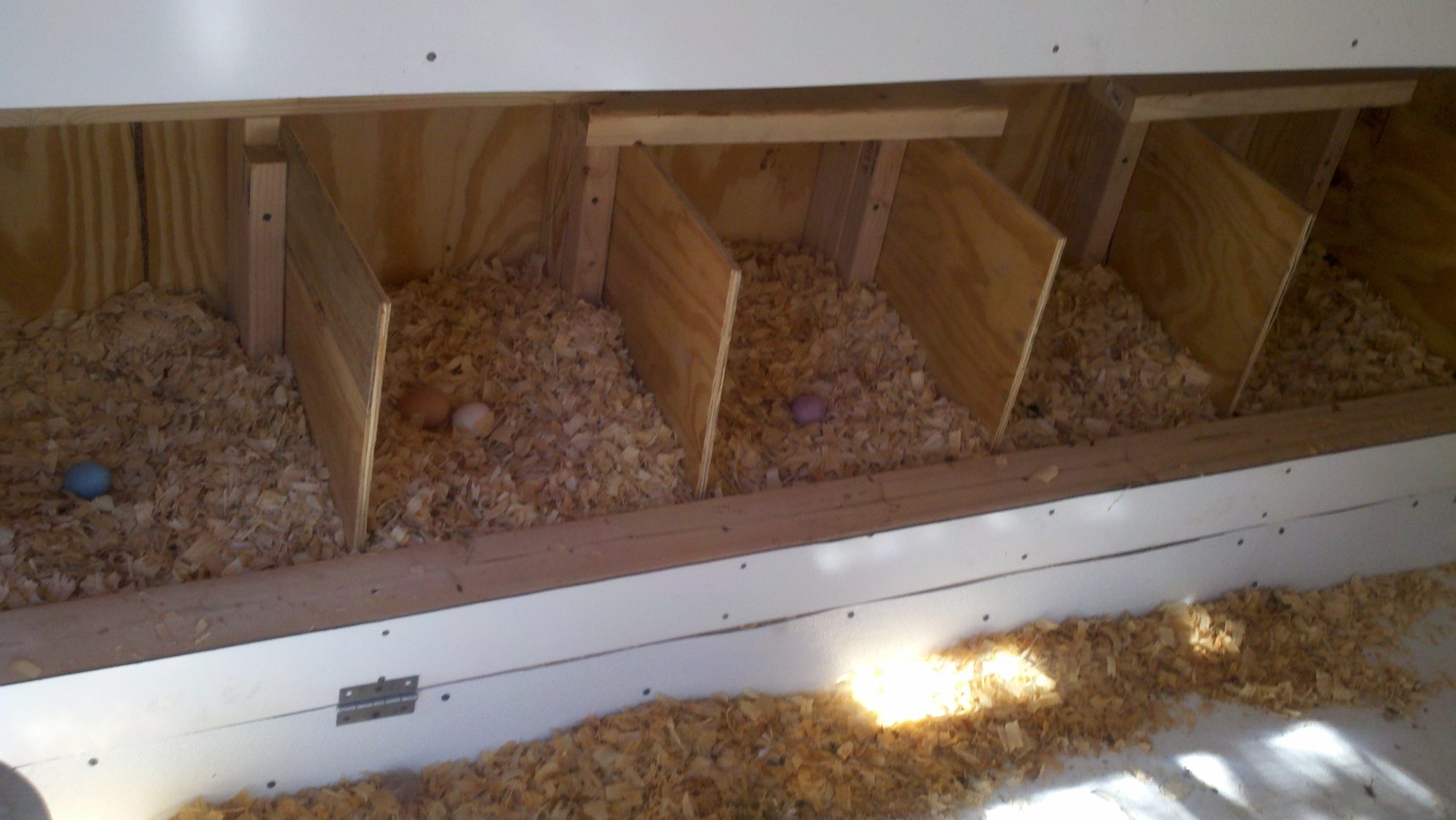 nesting boxes, interior