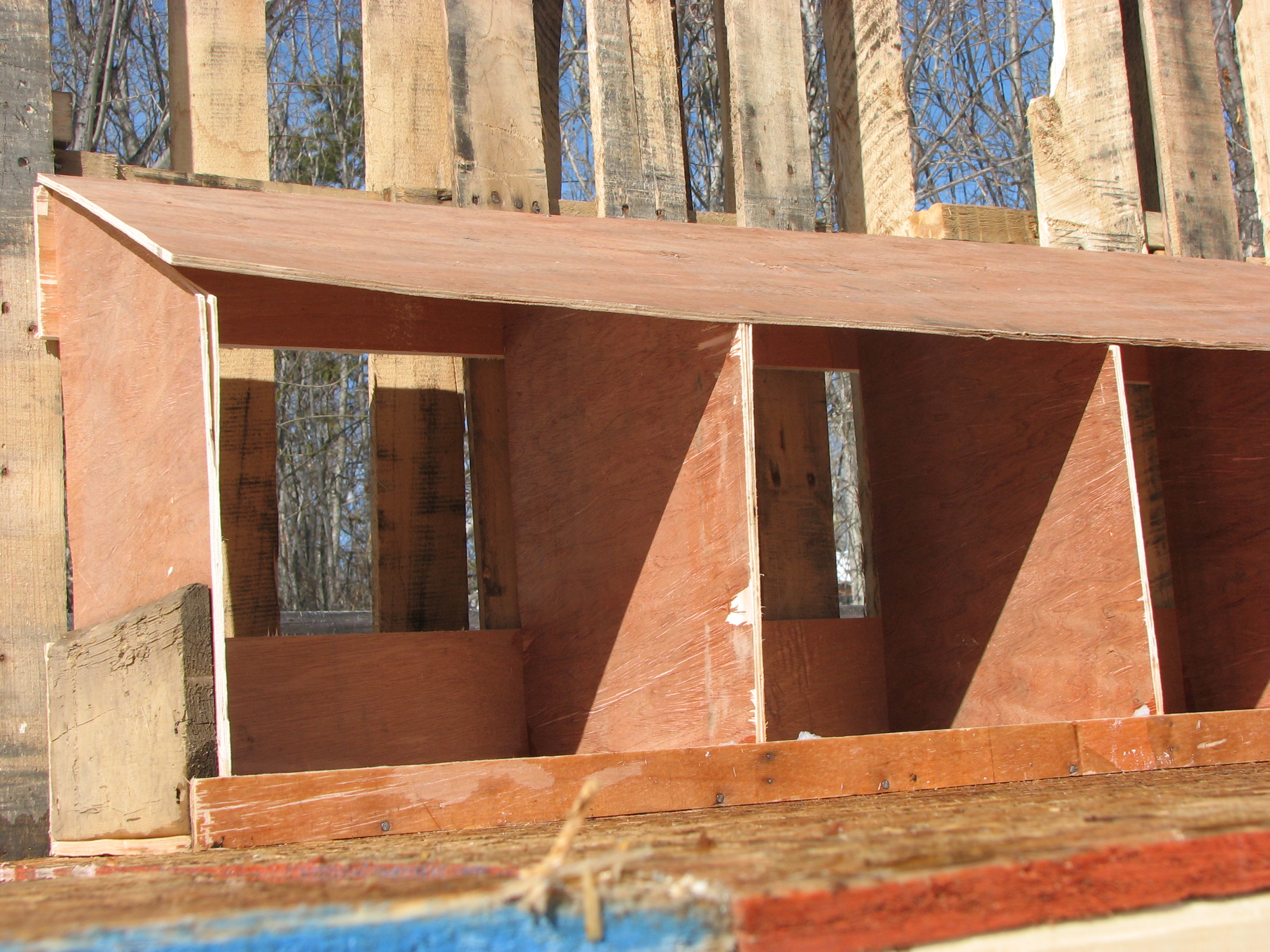 Nesting boxes, just need a few more nails...