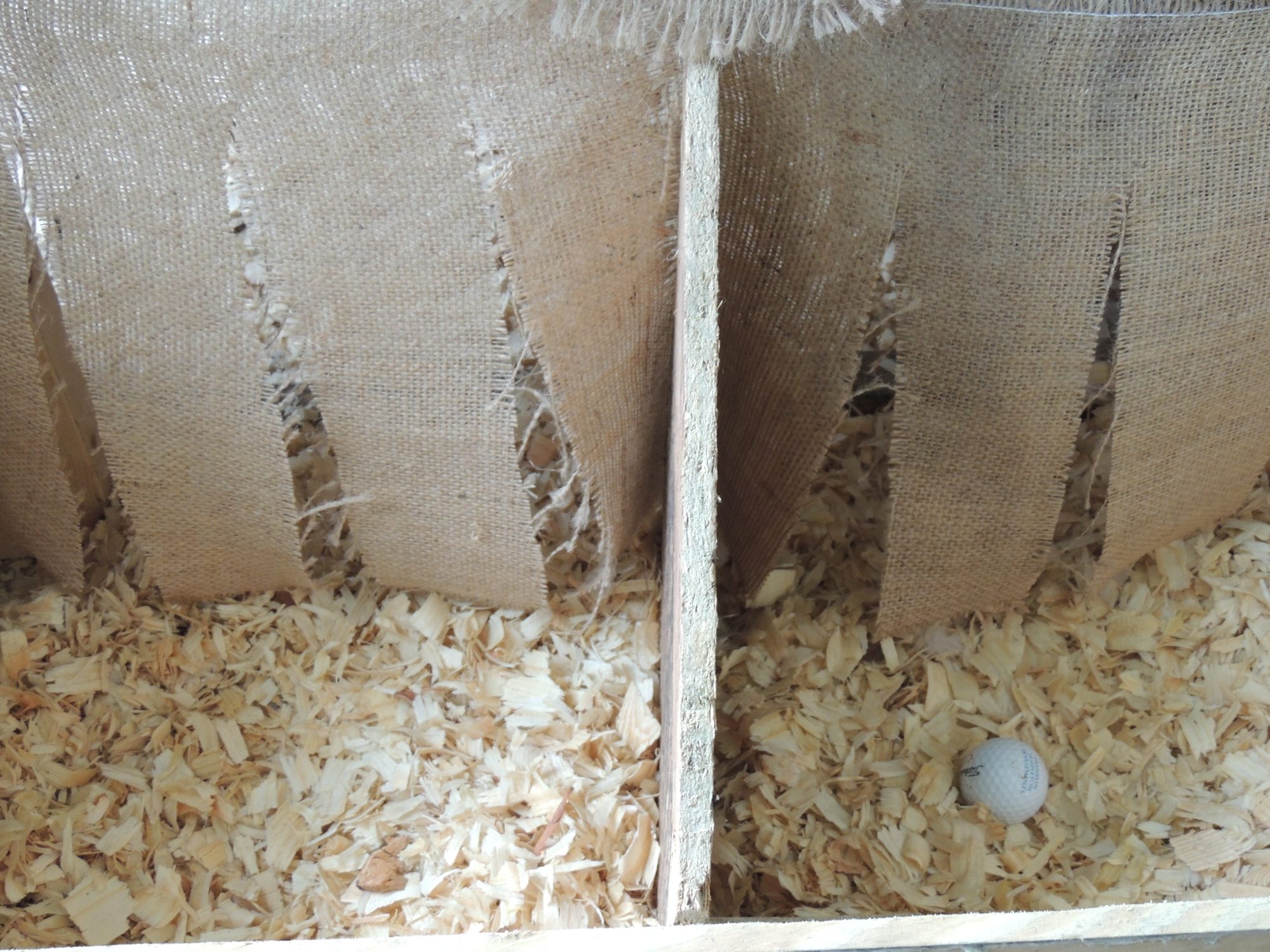 nesting boxes with curtains.... the golf ball is what taught my ladies to lay here.