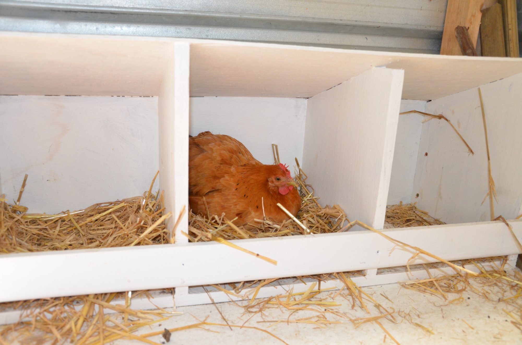 nesting boxes