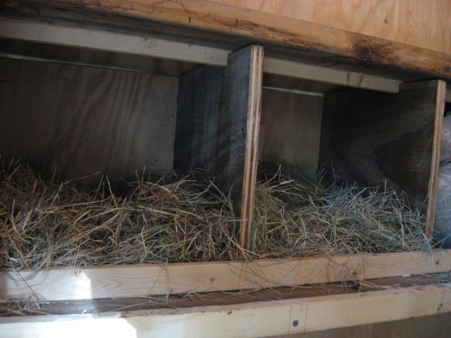 Nesting boxes