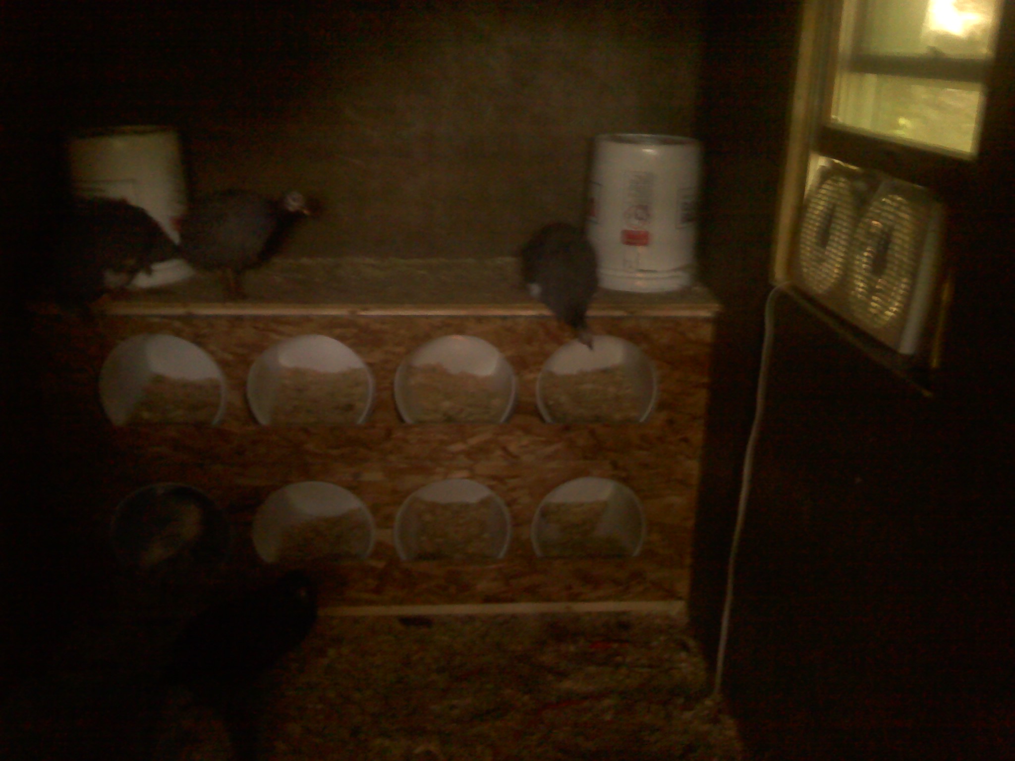 Nesting boxes.