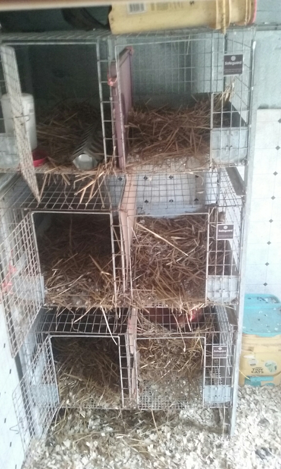 Nesting boxes