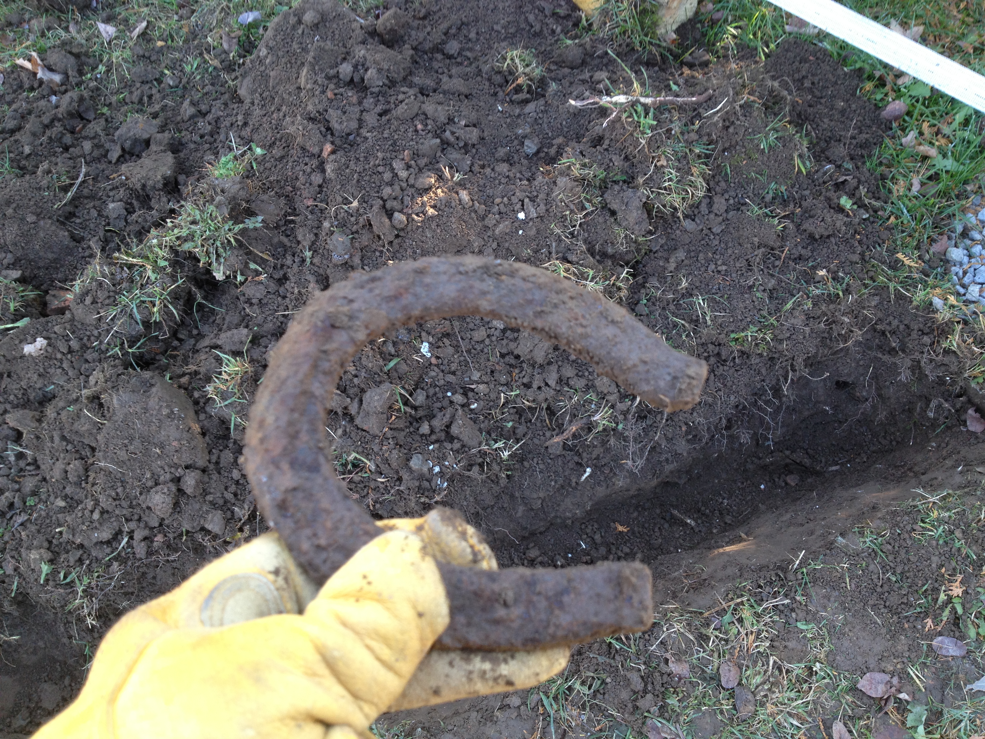 Never know what your gonna find digging on an old farm