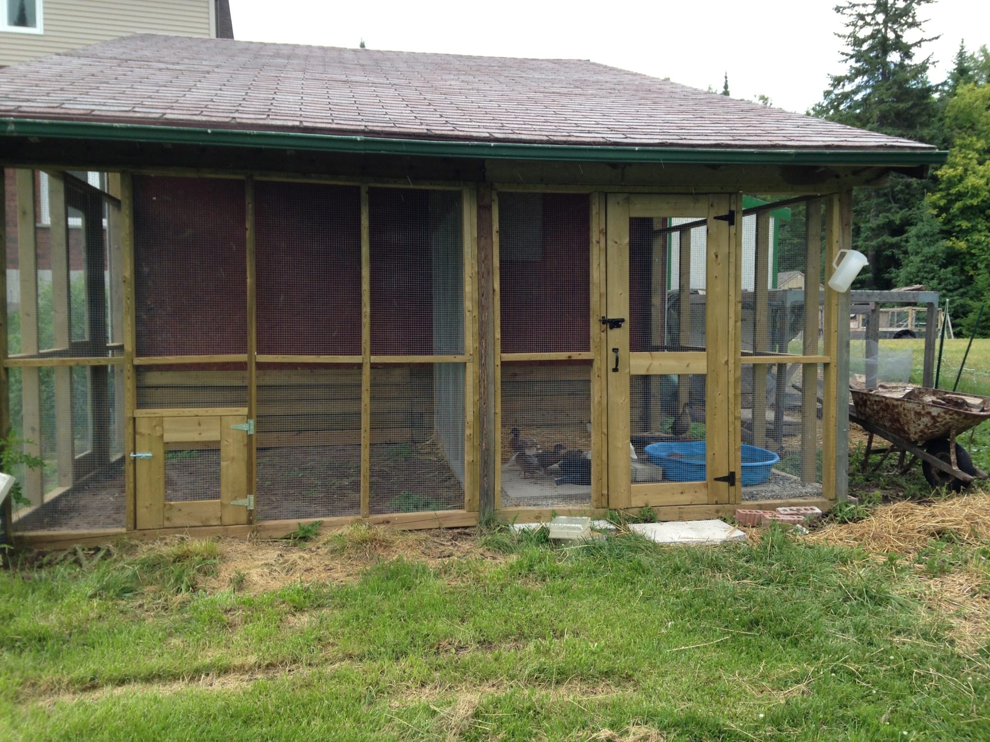 New 2 Room Duck Habitat/Aviary
Area previously used for chopped wood.