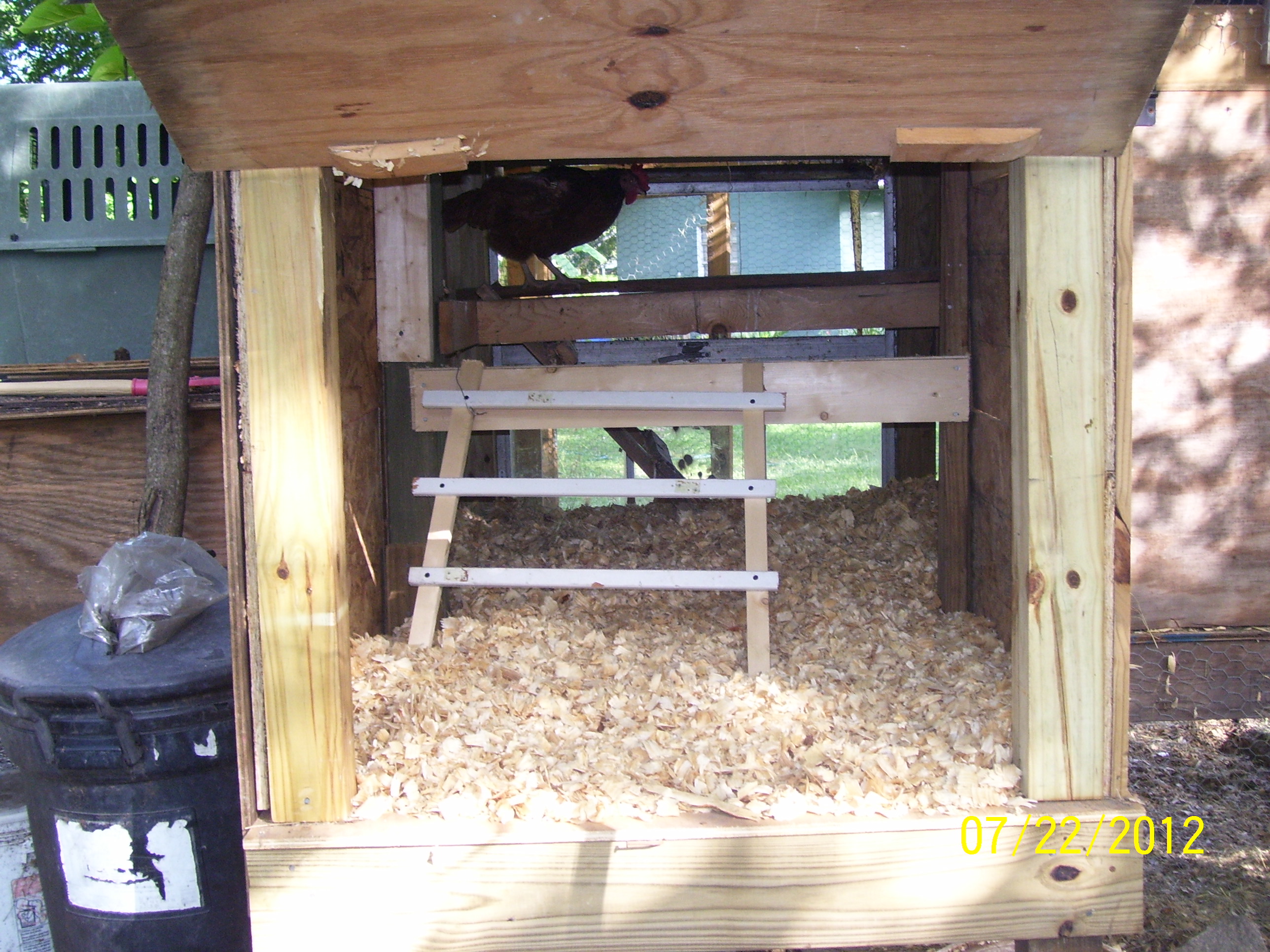 new addition extra roosting area