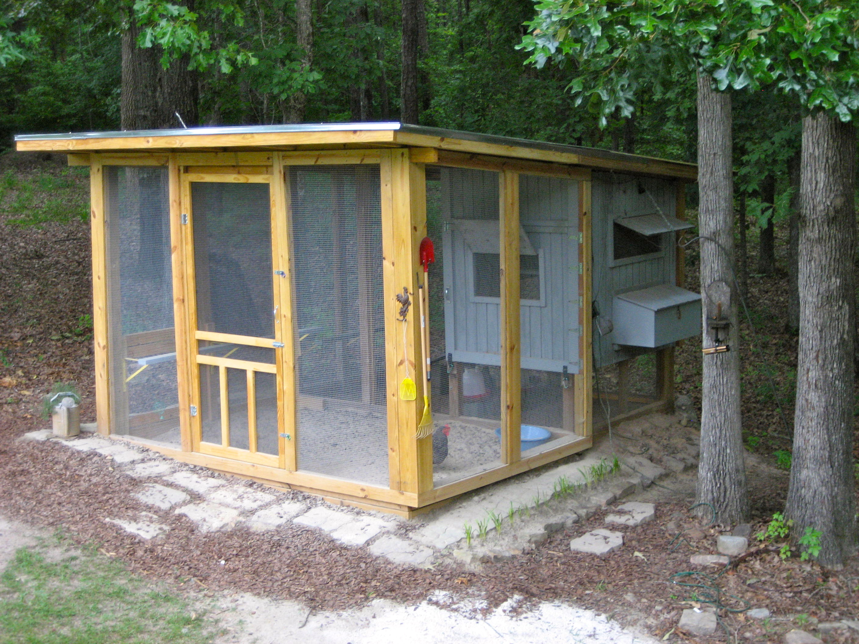 New addition to the coop/
