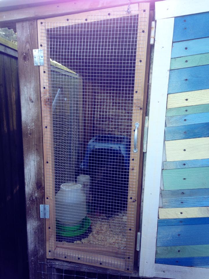 New brooder addition to the coop