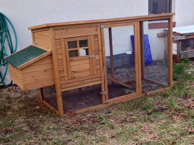 New chicken coop- built from a kit we bought on-line.  Very easy to assemble.  We did add 2 locks however; one on the front screen door and one on the coop door.  There was already one on the nest box.