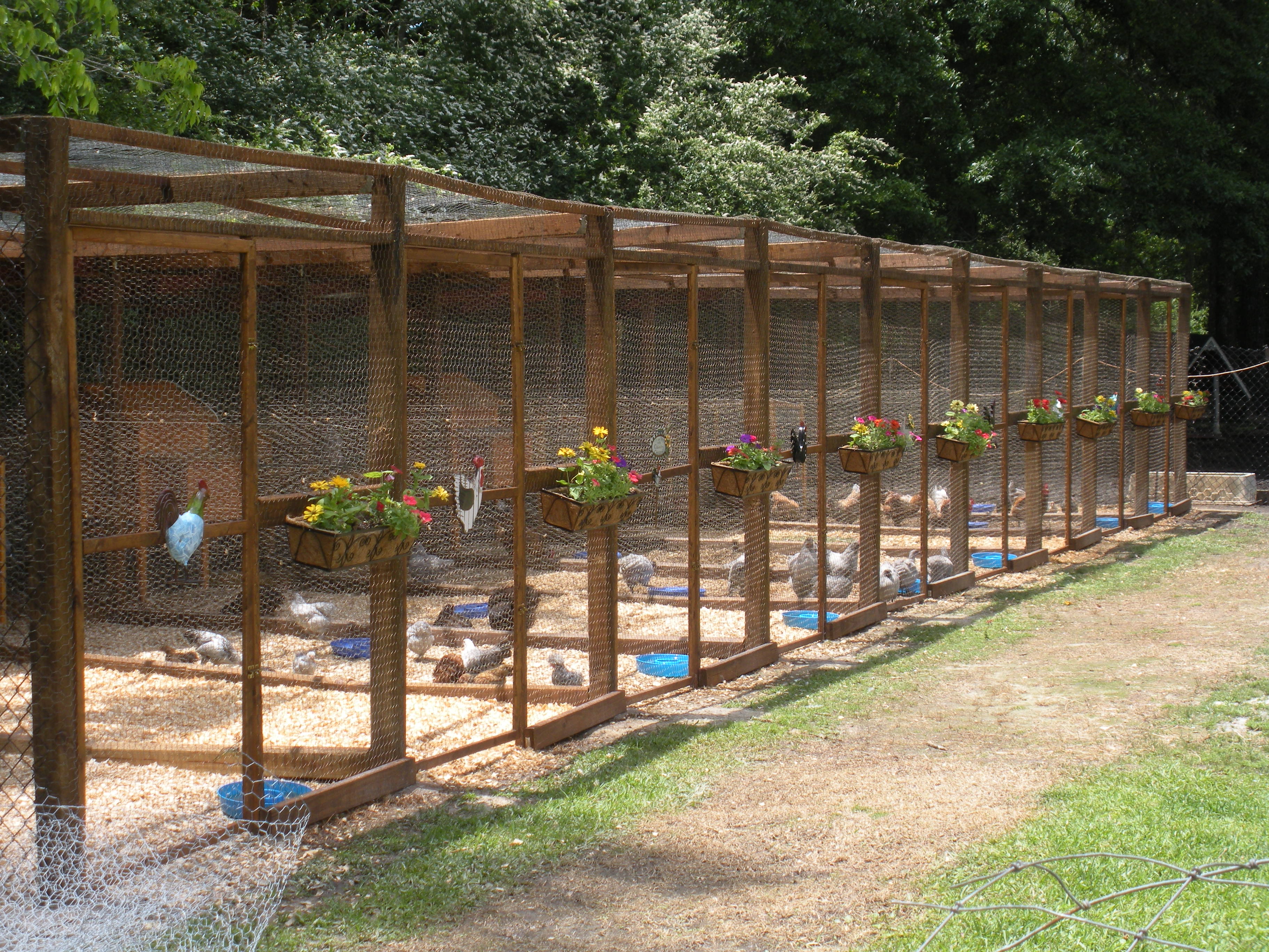 New chicken pens we built. - Full?D=0