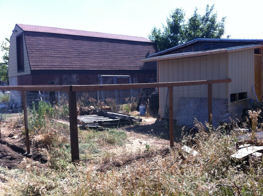 new chicken run