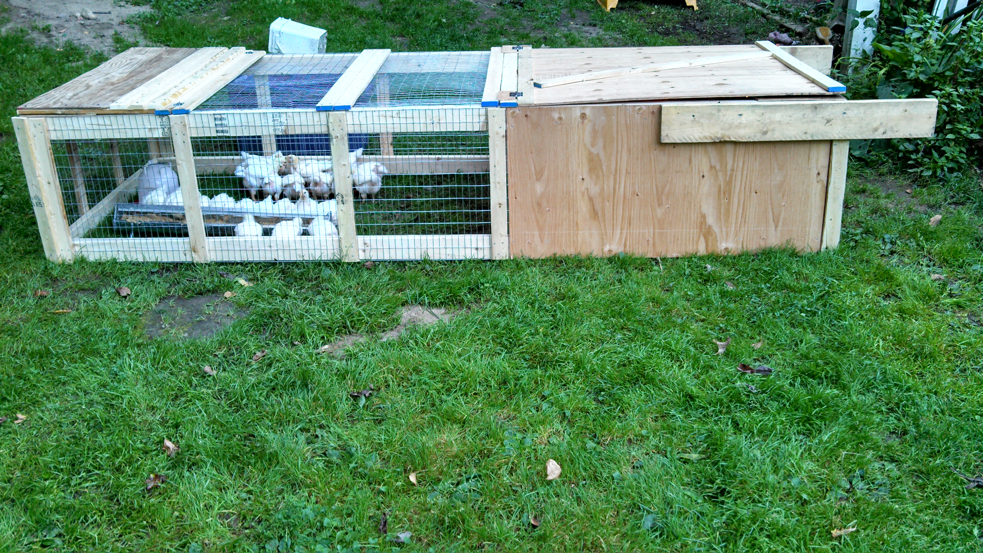 New chicken tractor for my meaties.