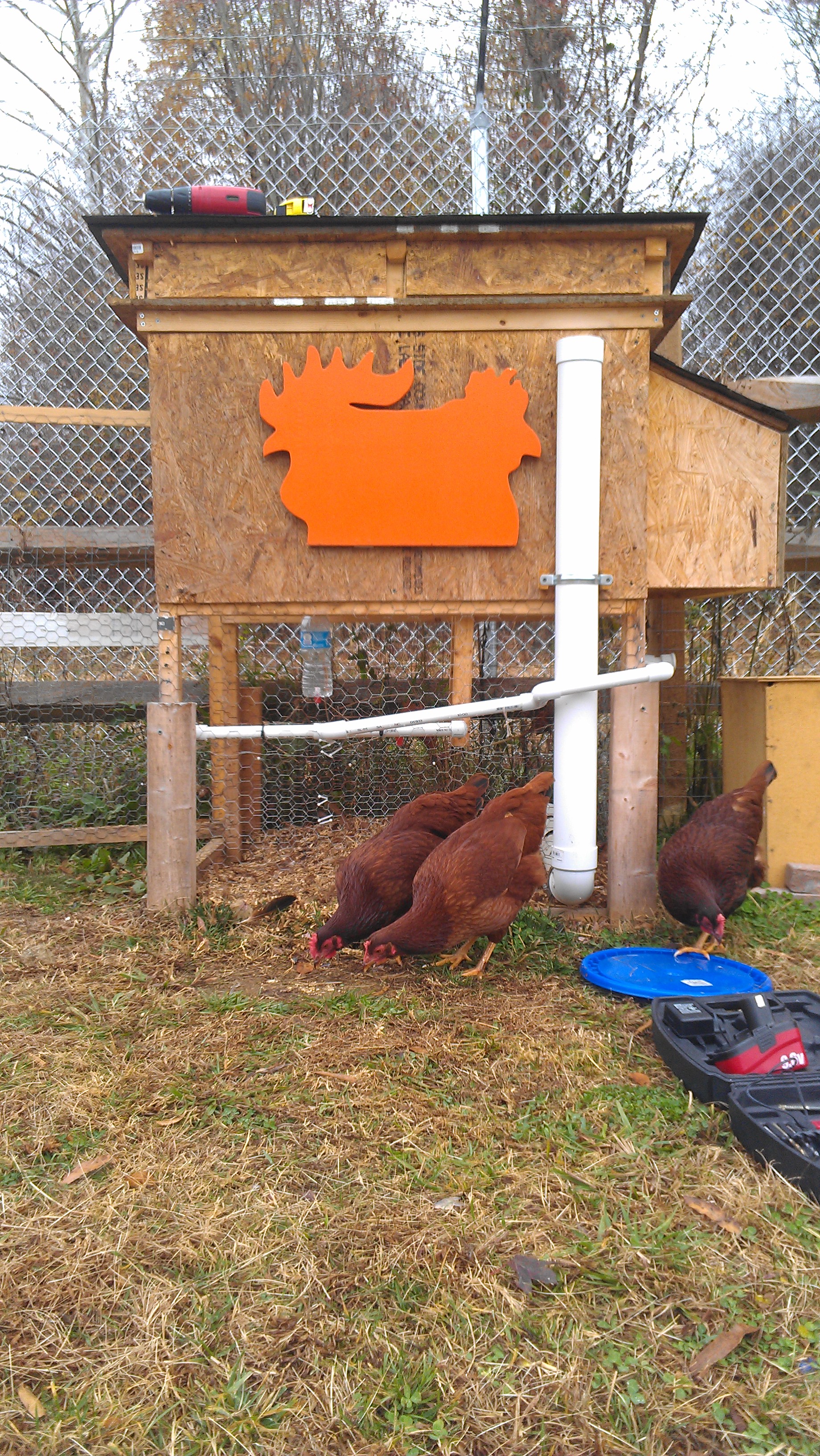 New Chicken Window Design for Coop