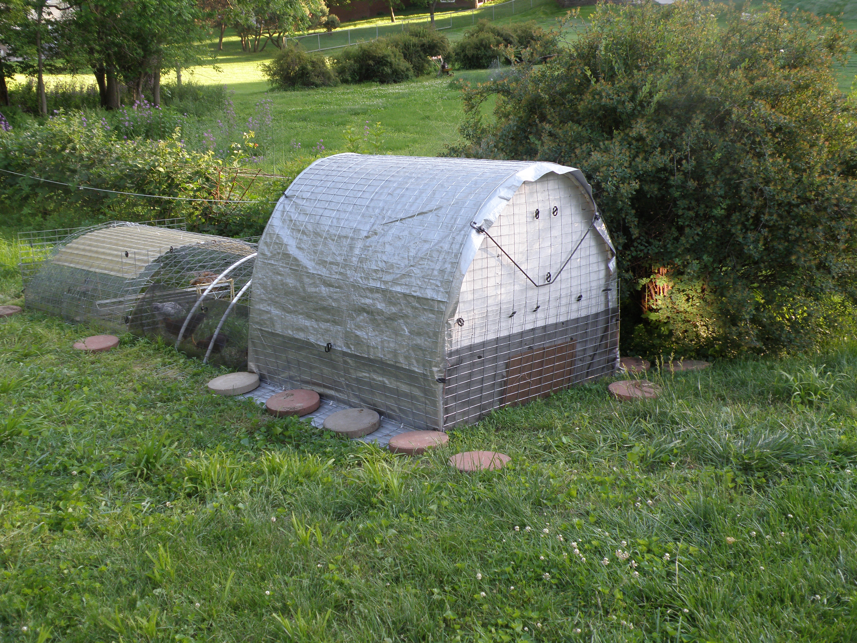 New chicks coop, watering and feeding station