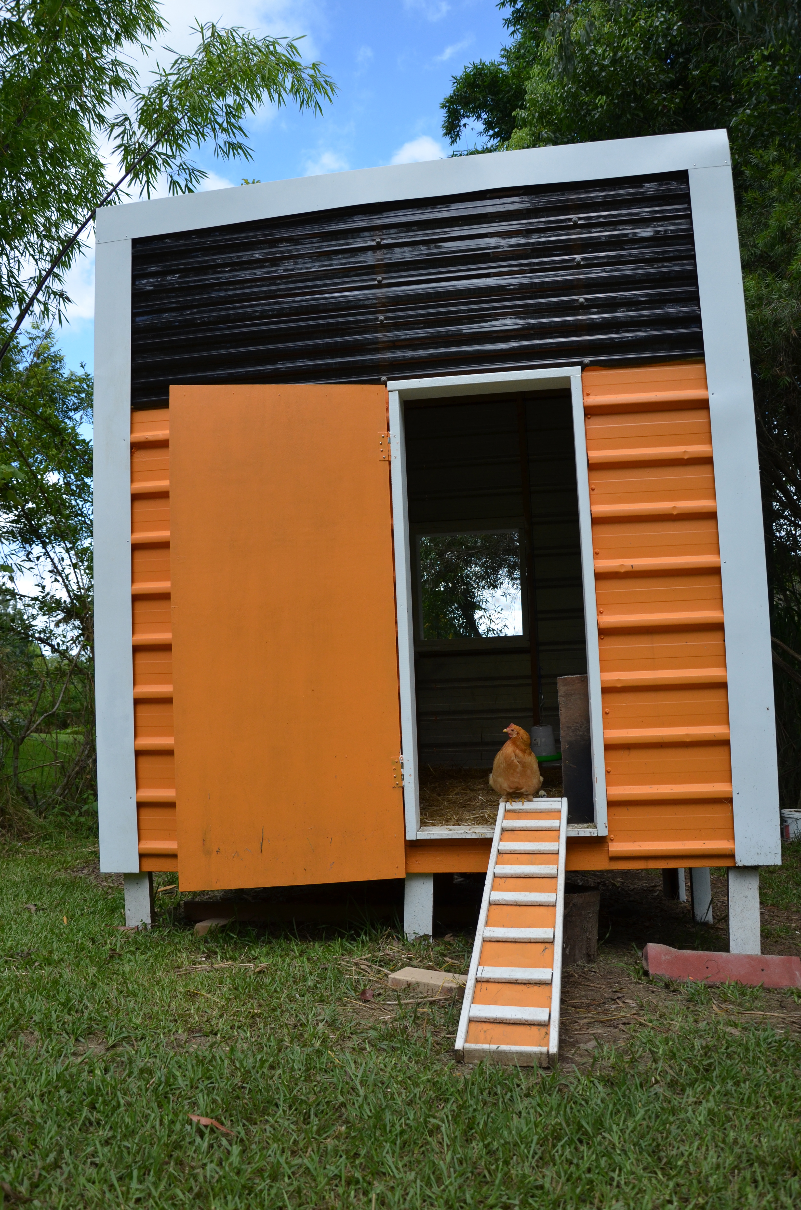 New chook house, I love watching them walk up and down their step stair thing.  What are those called?