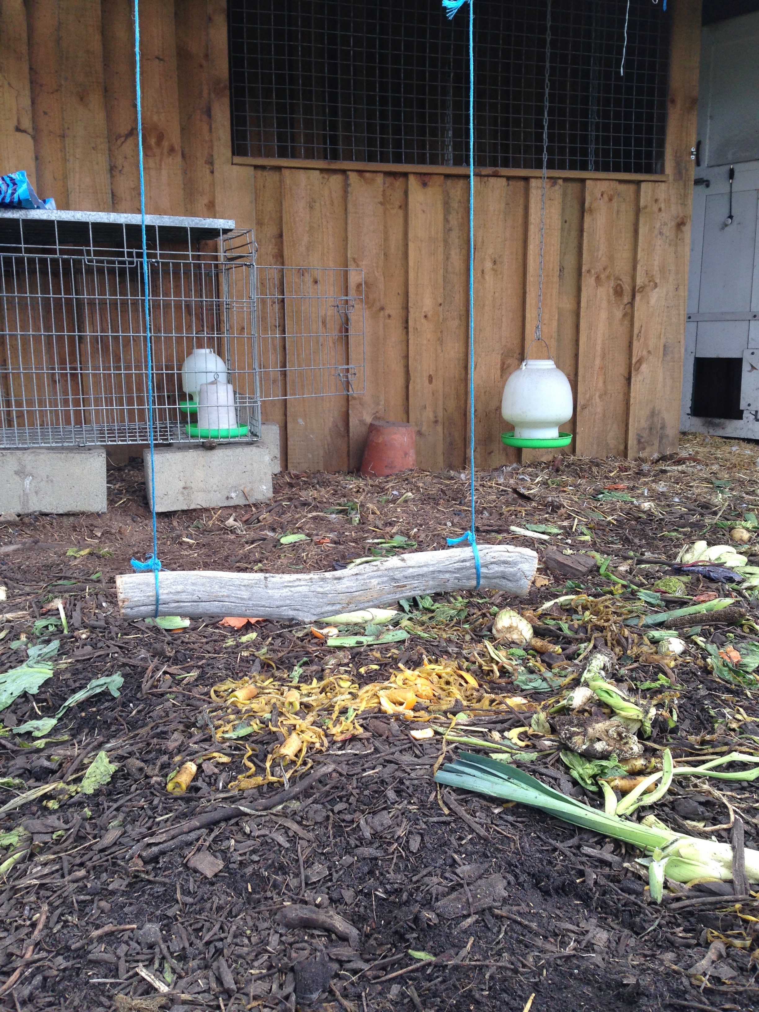 new chook swing hope they enjoy!!