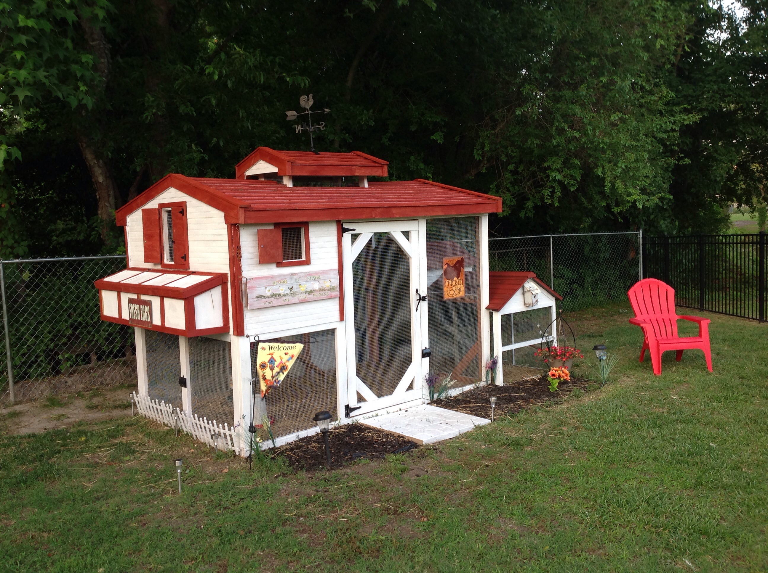 New coop for our 6 hens.  They are now 10 weeks old.
