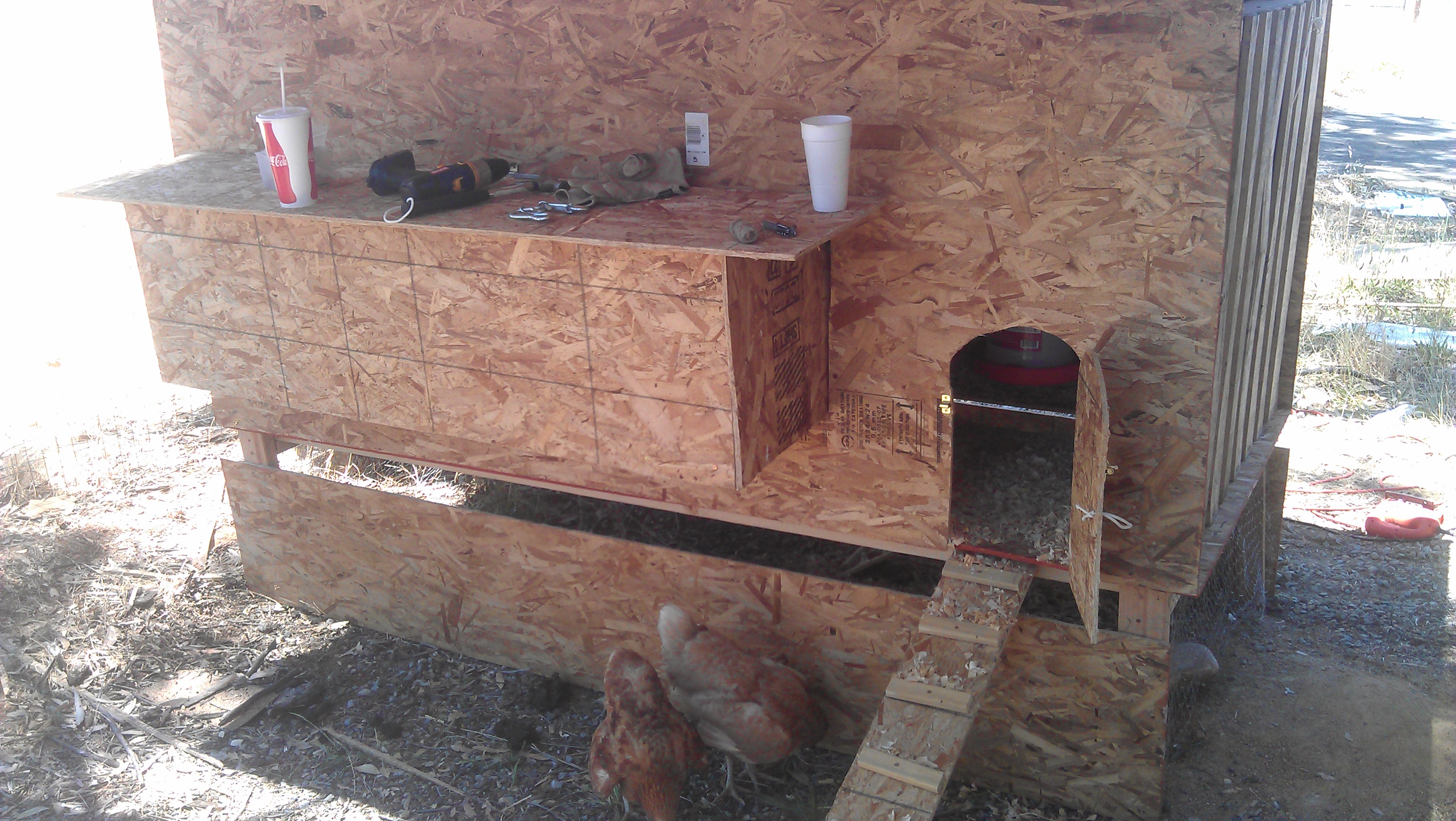 New coop. Front view