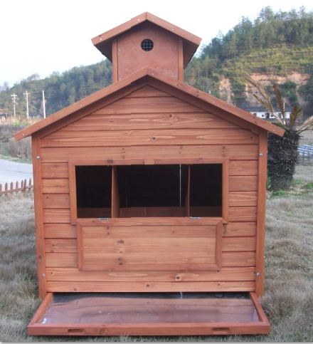 New Coop/ nesting area