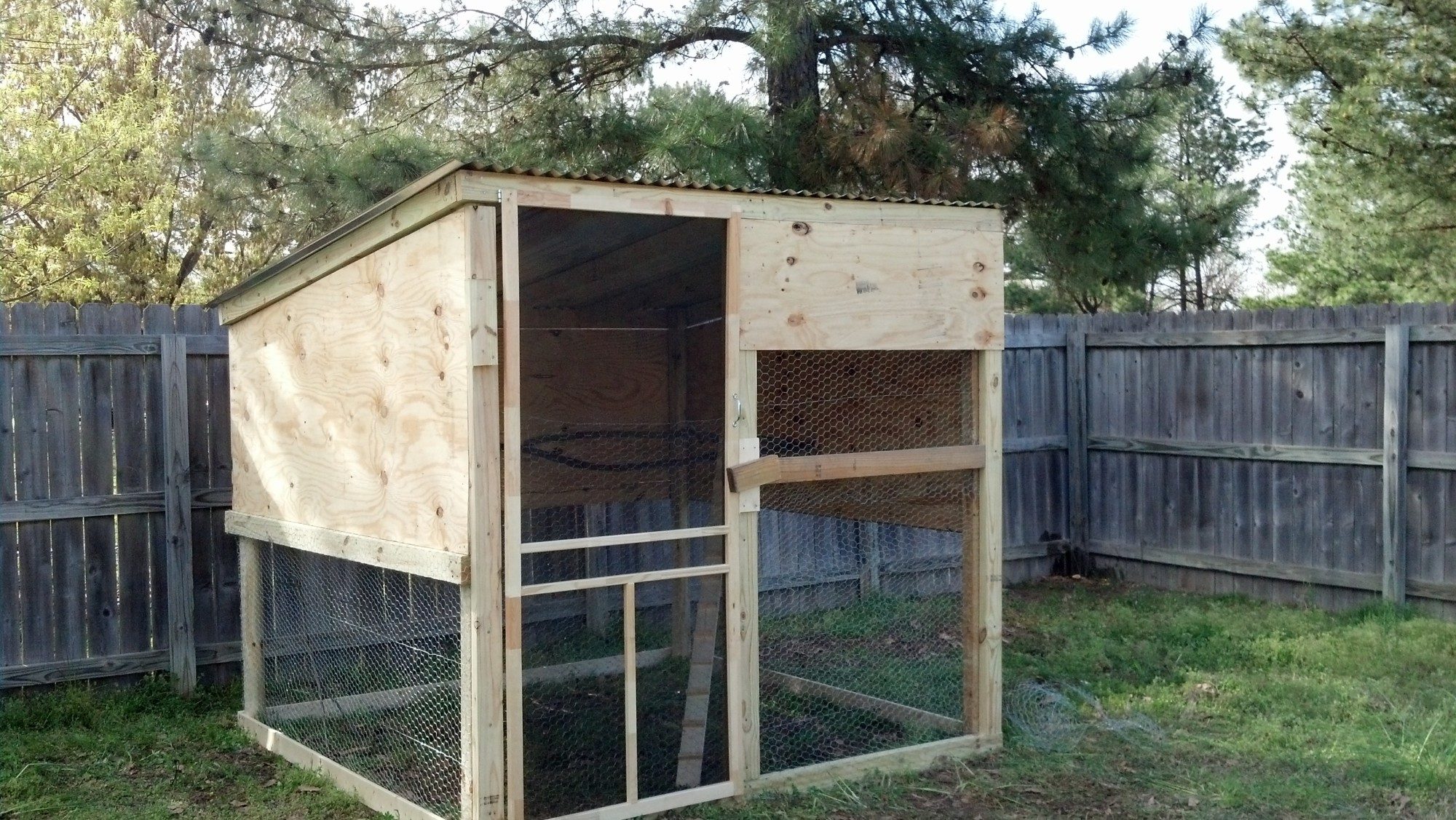 New coop