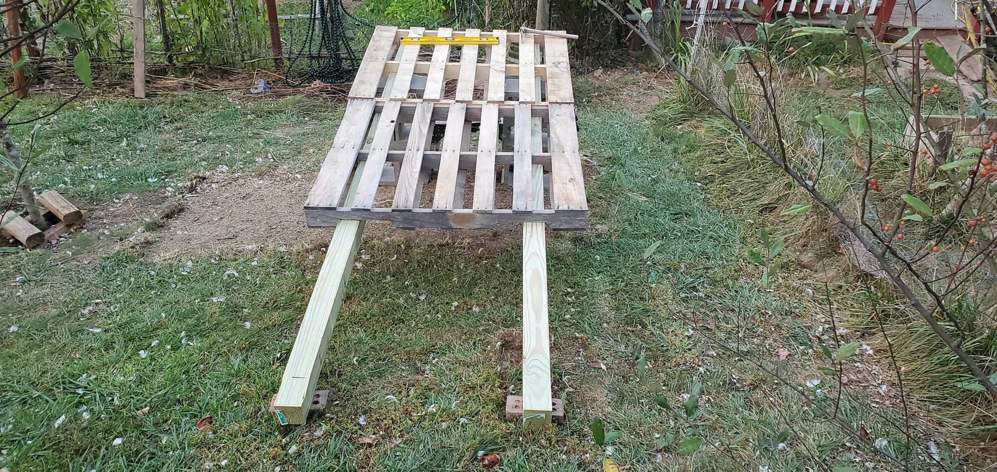 New Duck House for Sunny's Family, Foundation