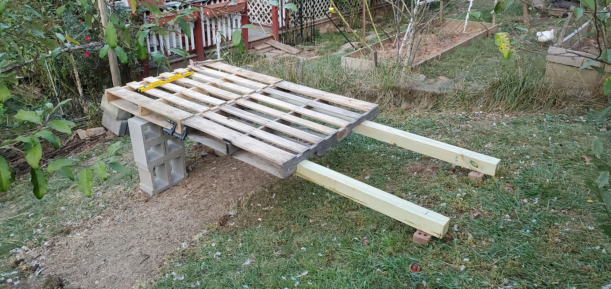 New Duck House for Sunny's Family, Foundation