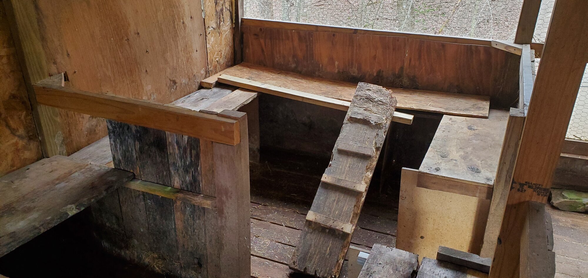 New duck-house interior, spring 2023